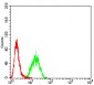 Mouse Monoclonal Antibody to MITF